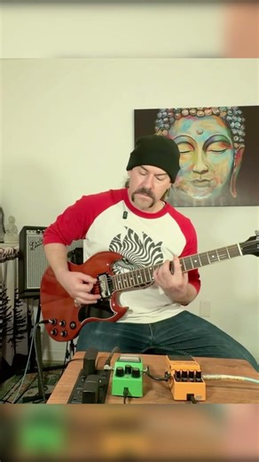 Tighten up your pedals with a TS9 definitely has a significant difference #df2 #boss #ogpedals