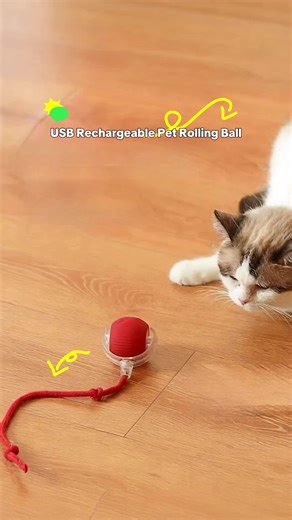 Interactive Dog&Cat Toys 2025 Upgraded Durable USB Rechargeable Automatic Rolling Ball with Obstacle Avoidance Technology for Small Medium Large Pets #pettoys #petmusthaves #toysforcats #dogsupplies #automaticcatfeeder #electriccattoy #chuckitfetchgames #petsgifts #dogessential #dogandcattoys