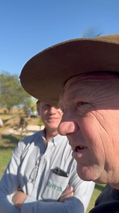 286K views · 10K reactions | Nunca desista e não achar que o outro tem sorte | Dionisio Schaefer para pensar, refletir e agir | Facebook