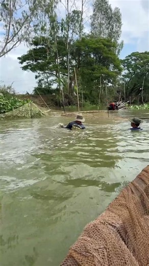 Lúc lên lúc xuống