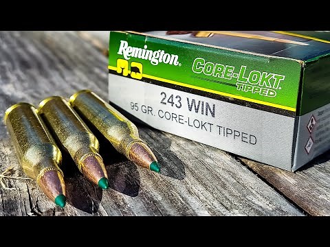 .243 Win Remington Core-Lokt Tipped | 100 Yard Ammo Test (I'M VERY IMPRESSED)