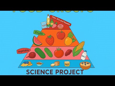 School Science Project: 🧪🗻💓Food Groups Explained! | Made by Ameera Khurram🧕🏻💗