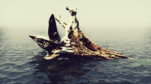 dead tree branches and trunk in the sea