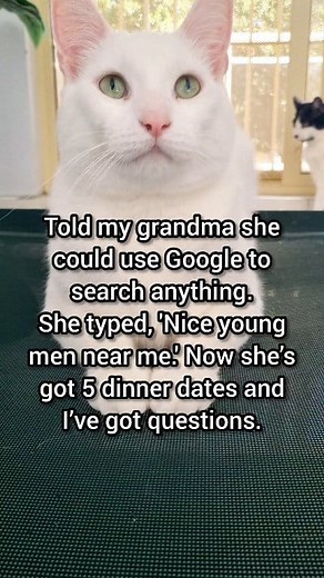 Grandma and Google 😂 | Moomoo Cat