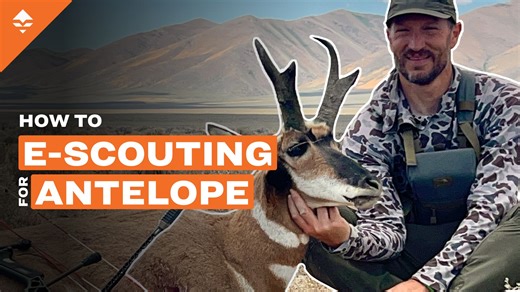 How to E-Scout for Pronghorn Antelope in the West // GOHUNT. The Hunting Company