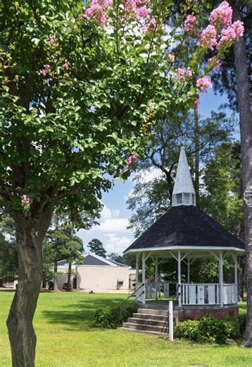 Springhill Main Street is bringing a full lineup of events to Downtown Springhill in 2026! ✨ Here’s what to plan for: 🎭 Mardi Gras on Main – January 30 🧺 Springhill Farmers Markets – April 4, May 2, July 4, August 1, September 5, October 3 💚 Love the Boot Week – April 18–26 🍴 Taste of the Market – June 6 🤠 Rodeo Week on Main – September 14–19 🛍️ Main to Main – November 6–7 🎄 Christmas in the Park – November 28 Follow along and be part of the moments that make Main Street the heart of our 