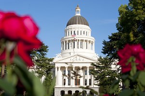 Sacramento | シティガイド：ゴールドラッシュの歴史と地産地消文化を伝える州都 - plusroadtrip