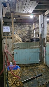 93K views · 1K reactions | We love Bob dearly.. but he is the...