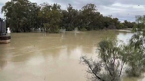 28K views · 773 reactions | The Darling River at Menindee  | ABC Broken Hill | Facebook