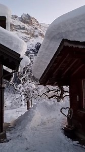 6.4K views · 3.5K reactions | Merry​งบ X'mas สุขใจ❄☃️ | เที่ยวสวิตเซอร์แลนด์ Jui's Swiss Trip | Facebook