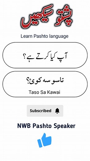 Learn Pashto Language Through Engaging Songs