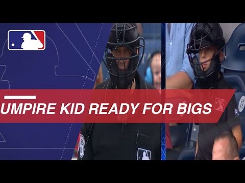 Young 'umpire' makes calls from the stands