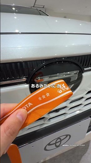 Have you ever actually taken a good look at the Corolla Cross logo?