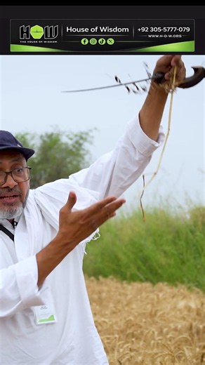 Why Grass Never Dies When Mown! | Irfan Sarfraz | House of Wisdom