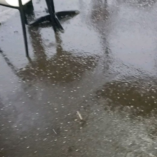 Marilla Homes - Singer & Performer on Reels