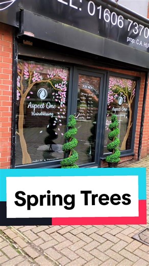 How to Paint Spring Blossom Trees on Windows
