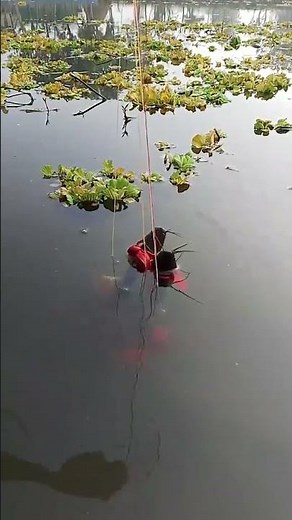 qqqqqqqqqqqqqq qqqqq qqqqqqqqqqqqqq qqqqq qqqqqqqqqqqqqq qqqqq qqqqqqqqqqqqqq qqqqq qqqqqqqqqqqqq