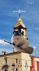 ¡Lo que se ve por Acatic! 🧙🐈‍⬛✨ Altos Focus Caja Valle #Acatic #AltosFocus #AltosDeJalisco | Altos Focus