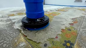 Deep Carpet Cleaning Reveals Hidden Colors Beneath