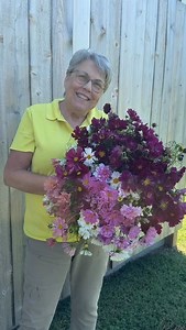 Never too early to consider which Cosmos to grow this season. Maybe pull a Lisa? Grow them all! Did you know that Cosmos put on their best show in late summer & fall? They bloom more and last longer. This doesn’t stop me from growing them throughout the summer. It’s that my last succession planting has the biggest planting— Cosmos seeds in my SHOP. I start them in the 3/4” soil block. #gardenersworkshopfarm | The Gardener's Workshop