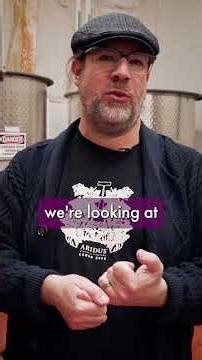 How do you know when it is time to pick the grapes for harvest?