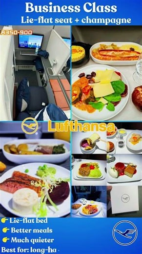 Lufthansa Economy vs Business vs First Class | Is It REALLY Worth It?