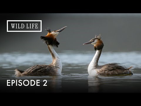 Monsoon Seasons of Cambodia | Destination Wild: Indochina's Wild Heart | Episode 2