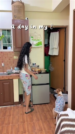 Fujidenzo Mini Fridge for Apartment Living