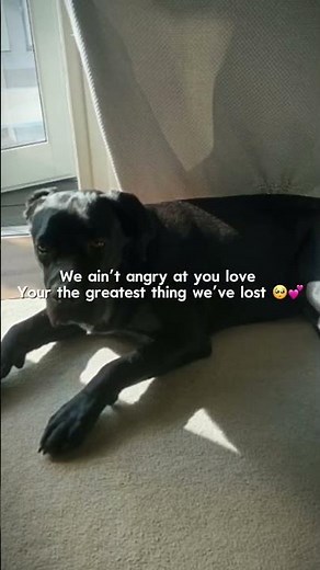 ):