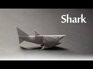 Shark!! 바다의 포식자! 백상아리 종이접기, 상어접기, 상어가족