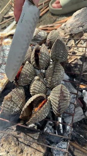 Let’s open the shell🤤🐚 #shortvideos #shorts #shortvideo #viral #food #shortvideo #shortsviral