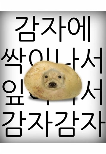 우리동네 추억의 놀이: 감자캐기