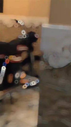 CS flight ✈️ (@csflight2)’s videos with original sound - DS🇦🇪❤️