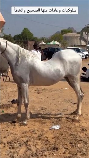 سلوكيات وعادات منها الصحيح والخطأ 😳😲 #٦٠شو_مع_الدكتور_حاتم_ستين