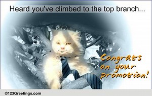 Climbed The Top Seat!