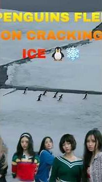 "Penguins Flee Across Cracked Antarctic Ice – Epic Polar Run 🐧❄️