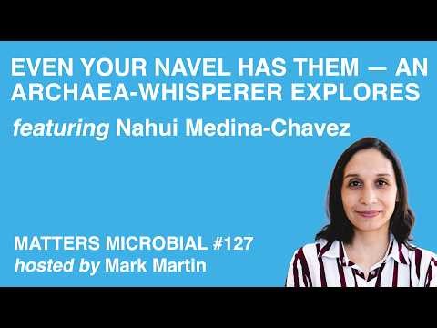 Matters Microbial #127: Even Your Navel Has Them — An Archaea‑Whisperer Explores