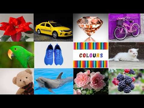 We Love all the Colors | Let’s Learn Colors | Nursery Rhymes & Kids Songs | #colorsforchildren