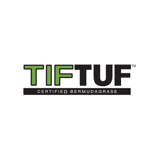 TifTuf Bermuda Sod - Drought-Tolerant, Lush & Durable Grass