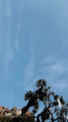 @mukku__smartyyy_ on Instagram: "Draft😅"