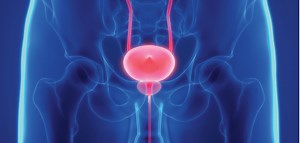 What Are the Long-Term Side Effects of Prostate Cancer Treatment?