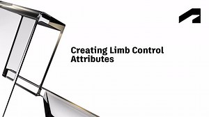 Realtime rigging – Hierarchy and attributes - Creating limb control attributes | Autodesk