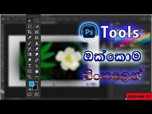 Adobe Photoshop Tools Sinhala Episode 02