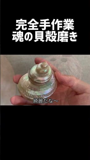 工具使わずに手磨きで仕上げた貝殻達　#磨いてみた #polishing #研磨 #鏡面磨き #螺鈿 #貝殻 #夜光貝 #傑作選