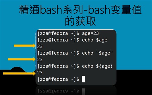 精通bash系列-bash变量值的获取