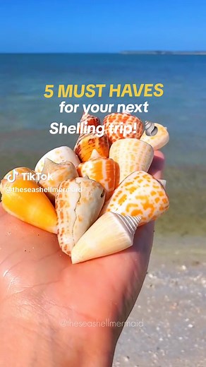 Save this for your next Beach combing trip! ✨️⬇️ . These 5 items are my MUST HAVES for shelling 🐚 . Do you have anything to add to this list? Let me know in the comments and Share this with your beachcombing friends! #floridavacation #shelling #tips #shellhunting #fyp Beach Vacation Needs, Shelling Tips, Shelling Must Haves,