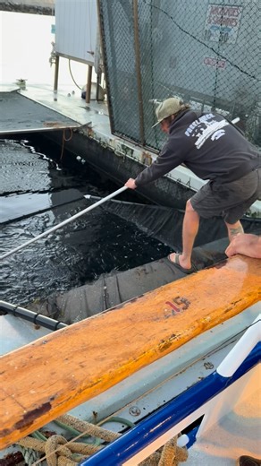 Every great fishing trip starts with picking up bait. #fishing #gofish #fishingtrip @freelancesportfishing | Sport Fishing with Dan Hernandez