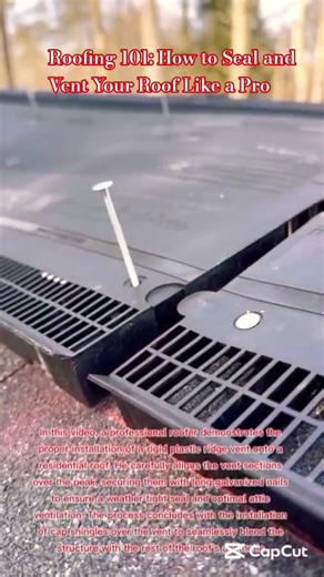 Roofing 101: How to Seal and Vent Your Roof Like a Pro
