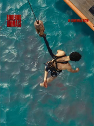 GSCMOVIES - The shark has spotted its prey....