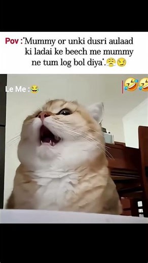 It's Never Tum It's Always Tumlog😤😒#memes​ #relatable​ #funnymemes​ #cat​ #m #siblings​ #memesdaily​